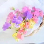 pwの画像