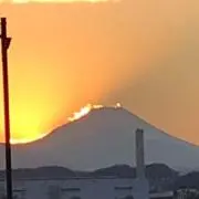 ヤホタカローの画像