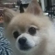 hirotoroの画像