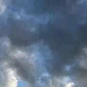 こやまの画像