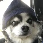 まぁちゃま