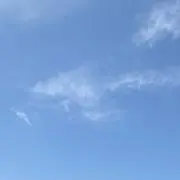 おじょの画像