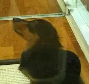ゆう