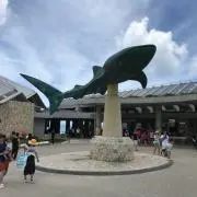 dairenの画像