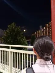 みぃの画像