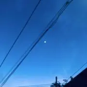 ゆきち