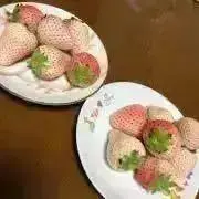 ぺこ♪プロフ必読♪の画像