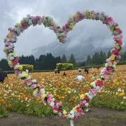 はっち× まごころ対応♡お値段交渉してね