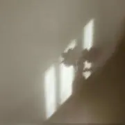 yの画像