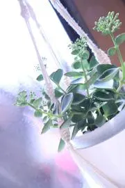 ヨシダ