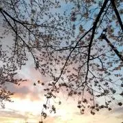 けいの画像
