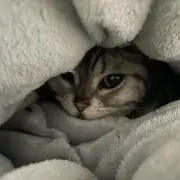 ＊リオシュ＊
