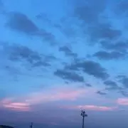 プロフ必読※即購入◎即日発送mone