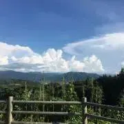 高須