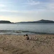 AoLuの画像