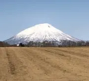 Yamatoの画像