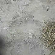 Rinの画像