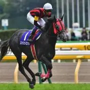 エイシンヒカリ