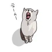 にゃーむの画像