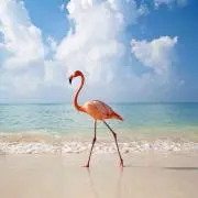 めぐみん