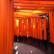 片山(プロフ必読)の画像