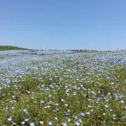 つーちの画像