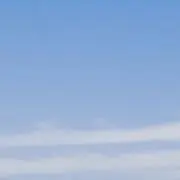 mn.の画像