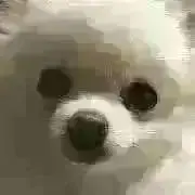 涼愛。　お休み中。。の画像