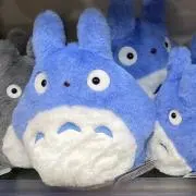 みなみの画像