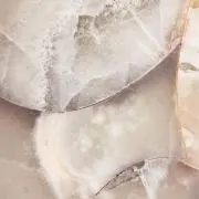 Sato ✴︎の画像