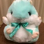 ぶんの画像