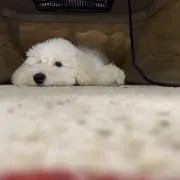 なっけ