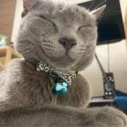 リエママ