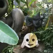 とももの画像