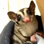 たけちゃん