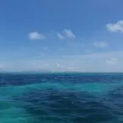 naturalの画像