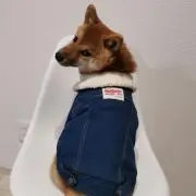 seaの画像