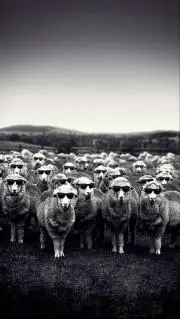 Paradise Kiss パラキス オルゴール アクセサリーBOX 矢沢あい - メルカリ