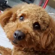 Mint　【断捨離中です！！】の画像