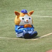 マカロン⭐︎プロフ必読！！