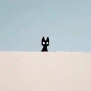【6/23〜7/4発送✖️】matsuc