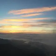 はるの画像