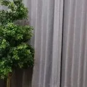 たあきいの画像