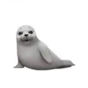 あざらしの画像