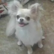 mo-ka☆