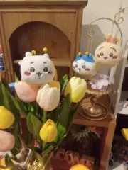ホイップの画像