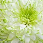 K☆の画像
