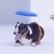 西山の画像
