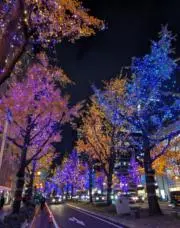 ＹＡの画像