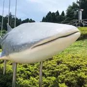 らいおんの画像